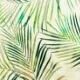 botanic