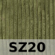SZ20
